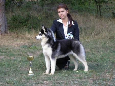 Прикачена снимка