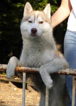 Прикачена снимка
