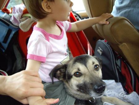 Прикачена снимка