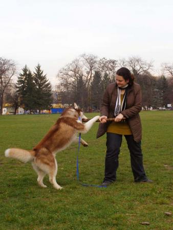 Прикачена снимка