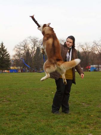 Прикачена снимка