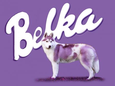 Прикачена снимка
