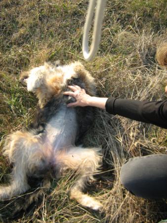 Прикачена снимка