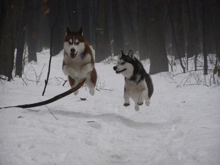 Прикачена снимка
