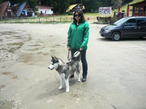 Прикачена снимка