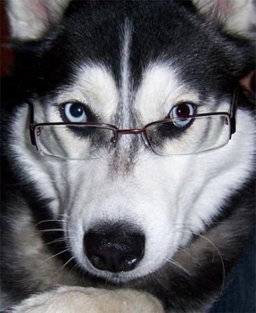 Прикачена снимка