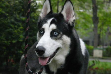 Прикачена снимка