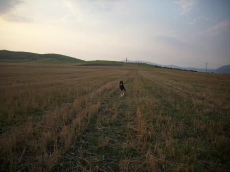 Прикачена снимка