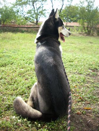 Прикачена снимка