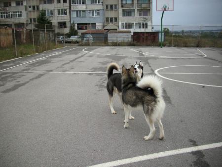 Прикачена снимка