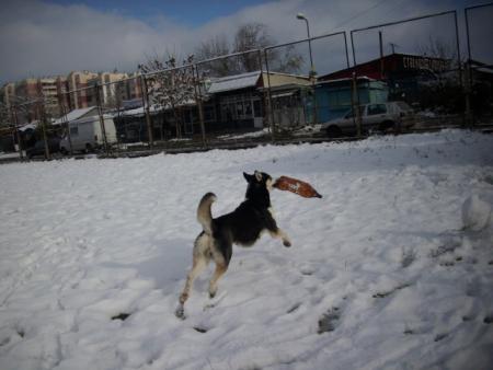 Прикачена снимка