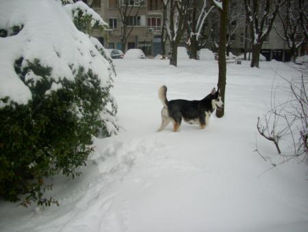 Прикачена снимка