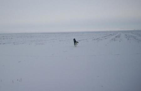 Прикачена снимка