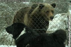 Прикачена снимка