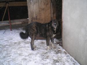 Прикачена снимка