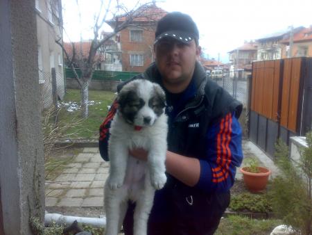 Прикачена снимка