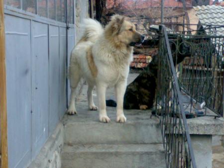 Прикачена снимка