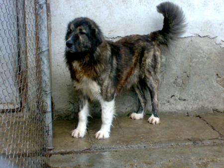 Прикачена снимка