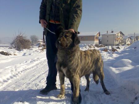 Прикачена снимка