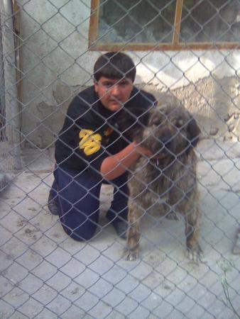 Прикачена снимка