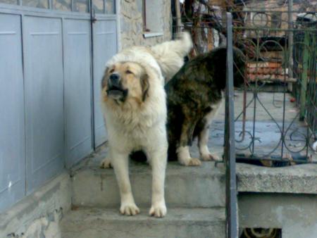 Прикачена снимка