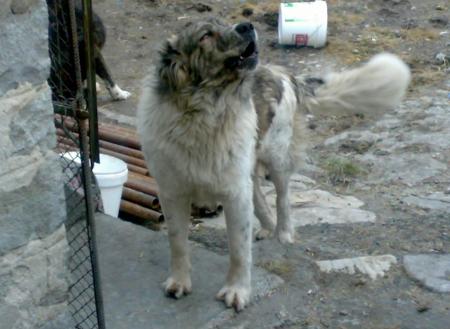 Прикачена снимка