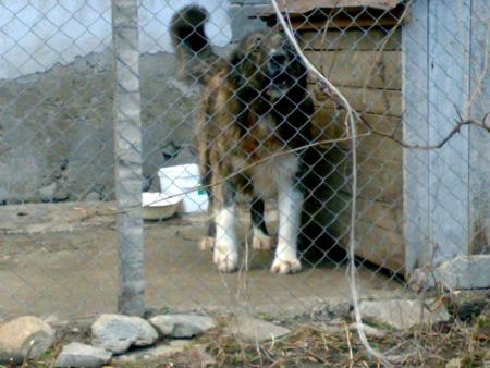 Прикачена снимка