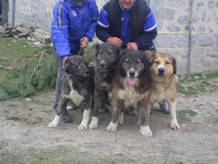 Прикачена снимка