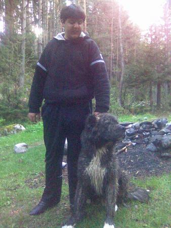 Прикачена снимка