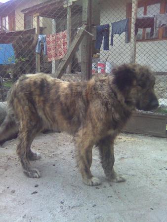 Прикачена снимка