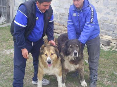 Прикачена снимка