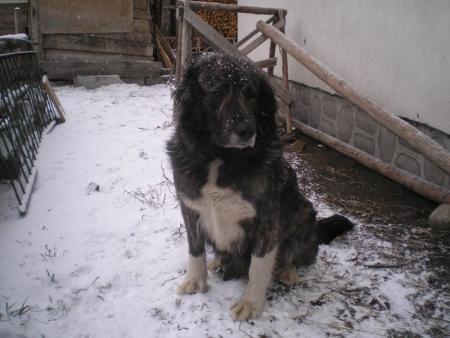 Прикачена снимка