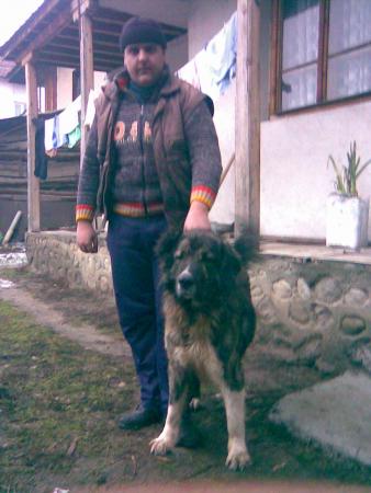 Прикачена снимка