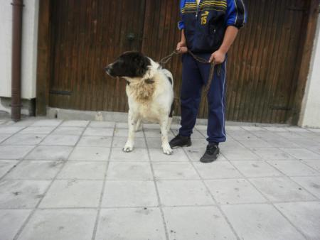 Прикачена снимка