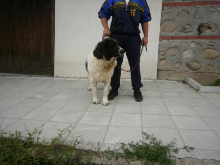 Прикачена снимка