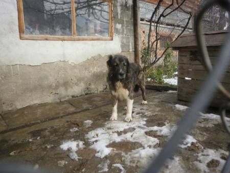 Прикачена снимка