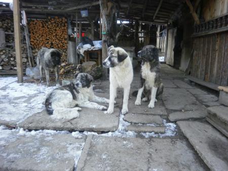 Прикачена снимка