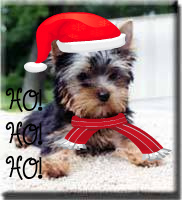 Прикачена снимка