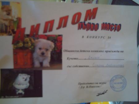 Прикачена снимка