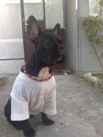 Прикачена снимка