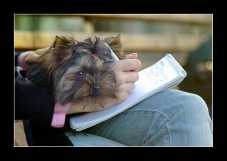 Прикачена снимка