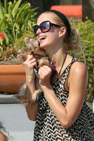 Прикачена снимка