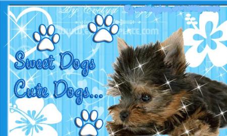 Прикачена снимка