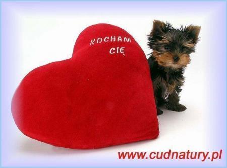 Прикачена снимка