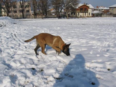 Прикачена снимка