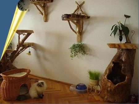 Прикачена снимка