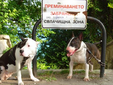 Прикачена снимка