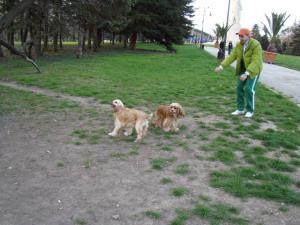 Прикачена снимка
