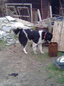 Прикачена снимка