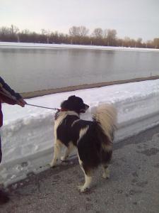 Прикачена снимка